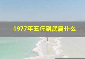 1977年五行到底属什么