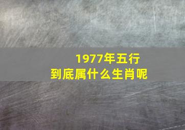 1977年五行到底属什么生肖呢