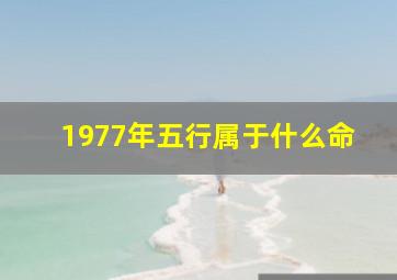 1977年五行属于什么命