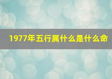 1977年五行属什么是什么命