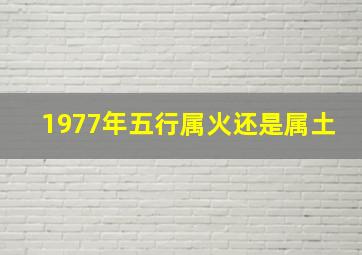 1977年五行属火还是属土