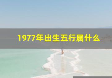 1977年出生五行属什么