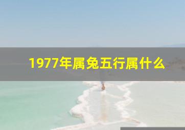 1977年属兔五行属什么