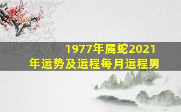 1977年属蛇2021年运势及运程每月运程男