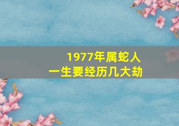 1977年属蛇人一生要经历几大劫