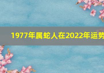 1977年属蛇人在2022年运势