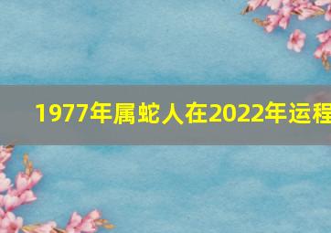 1977年属蛇人在2022年运程