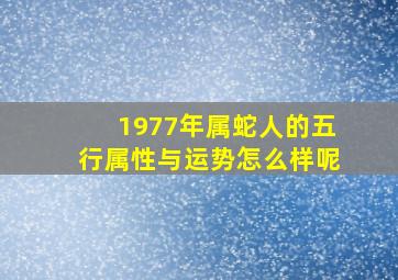 1977年属蛇人的五行属性与运势怎么样呢