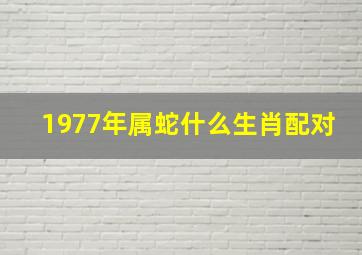 1977年属蛇什么生肖配对