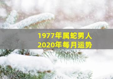 1977年属蛇男人2020年每月运势