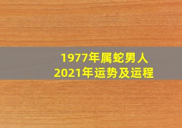 1977年属蛇男人2021年运势及运程