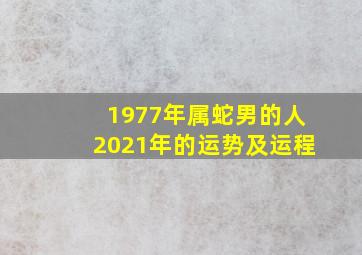 1977年属蛇男的人2021年的运势及运程