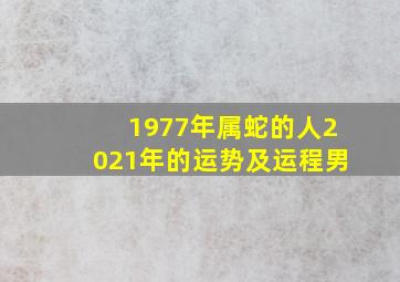 1977年属蛇的人2021年的运势及运程男