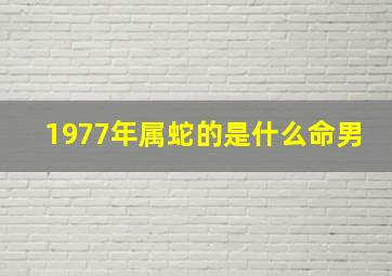 1977年属蛇的是什么命男