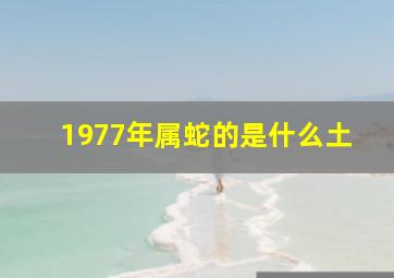 1977年属蛇的是什么土