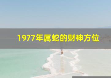 1977年属蛇的财神方位