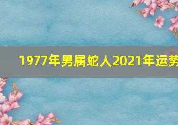 1977年男属蛇人2021年运势