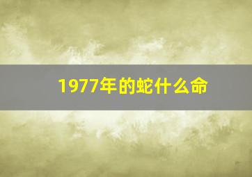 1977年的蛇什么命