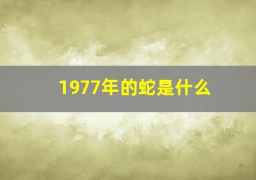 1977年的蛇是什么