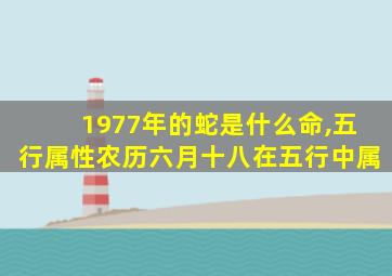 1977年的蛇是什么命,五行属性农历六月十八在五行中属