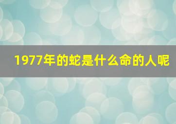 1977年的蛇是什么命的人呢