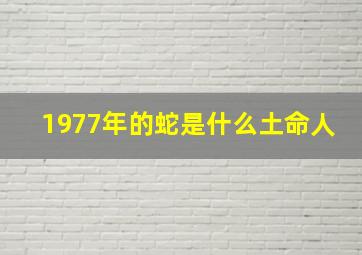 1977年的蛇是什么土命人