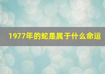 1977年的蛇是属于什么命运