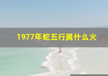 1977年蛇五行属什么火