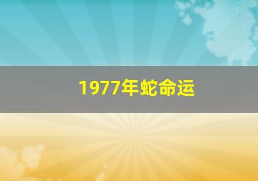 1977年蛇命运