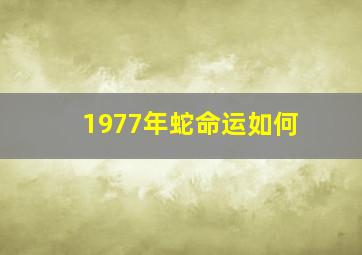 1977年蛇命运如何