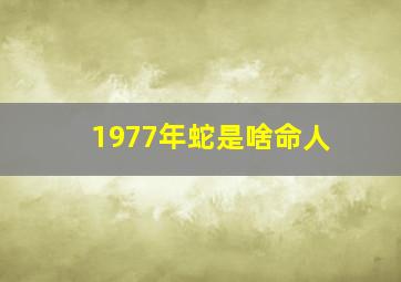 1977年蛇是啥命人