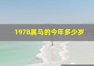 1978属马的今年多少岁