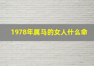 1978年属马的女人什么命