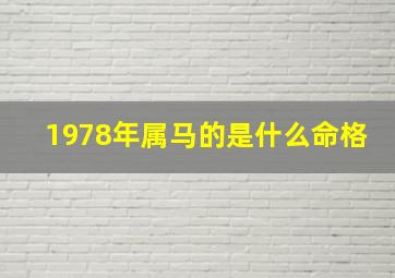 1978年属马的是什么命格