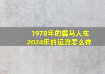 1978年的属马人在2024年的运势怎么样