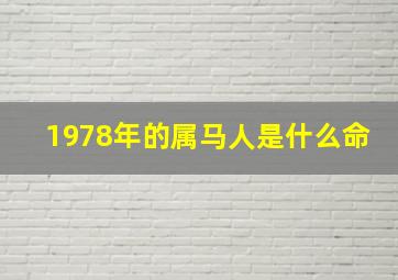 1978年的属马人是什么命