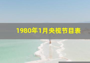 1980年1月央视节目表