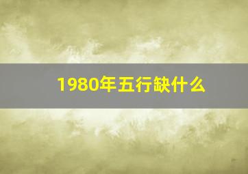 1980年五行缺什么