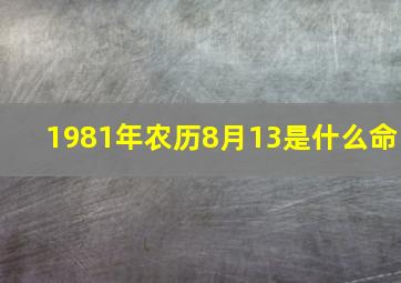 1981年农历8月13是什么命