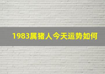 1983属猪人今天运势如何