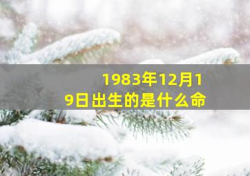 1983年12月19日出生的是什么命