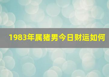 1983年属猪男今日财运如何