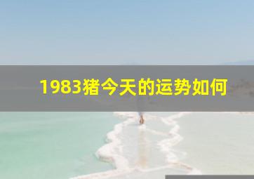 1983猪今天的运势如何