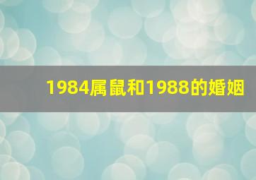 1984属鼠和1988的婚姻