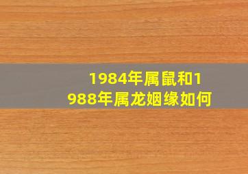 1984年属鼠和1988年属龙姻缘如何