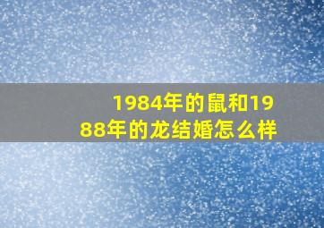 1984年的鼠和1988年的龙结婚怎么样