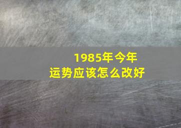 1985年今年运势应该怎么改好