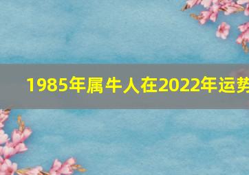 1985年属牛人在2022年运势