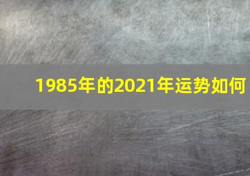 1985年的2021年运势如何