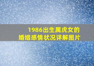 1986出生属虎女的婚姻感情状况详解图片